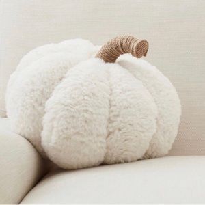 Pottery Barn Ivory Pumpkin Pillow